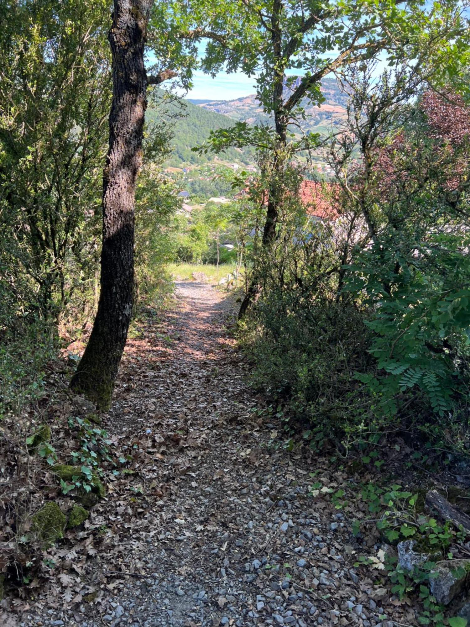 Gite La Cerise Qui Rit La Cresse Luaran gambar